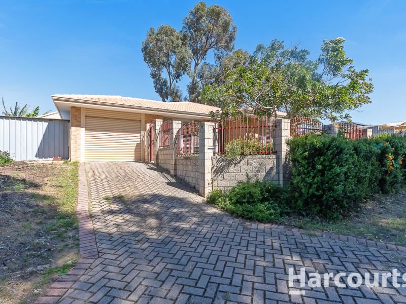 36 Dewar Mews, Clarkson WA 6030
