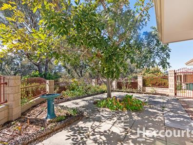 36 Dewar Mews, Clarkson WA 6030