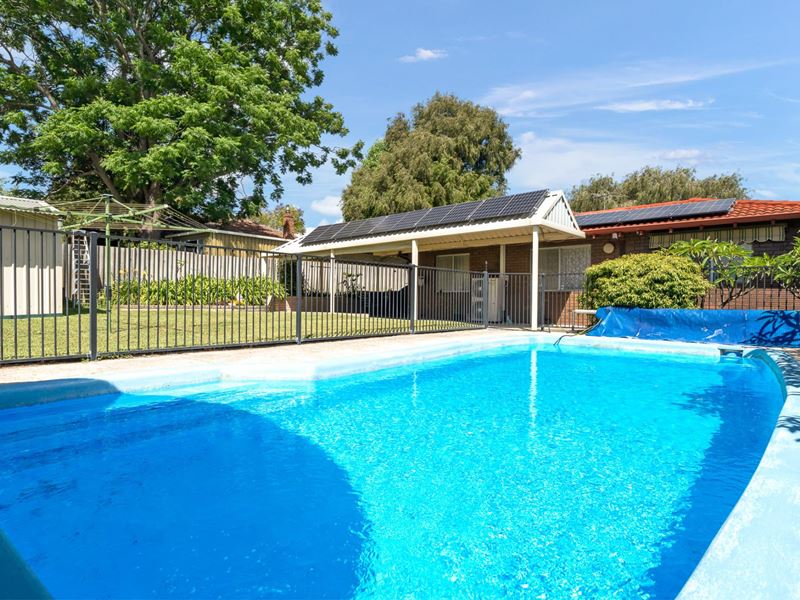 95 Wilfred Road, Thornlie