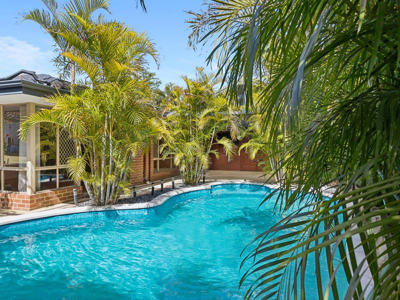 56 Camarino Drive, Woodvale WA 6026