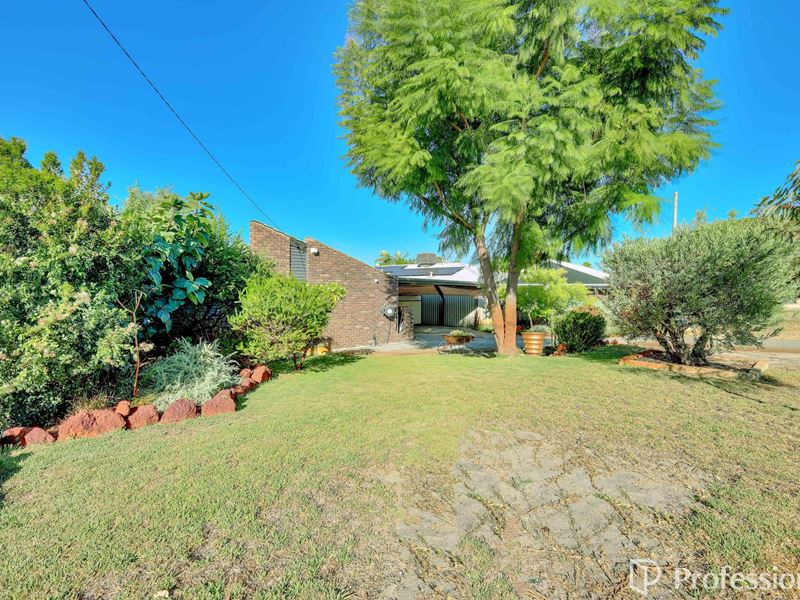 46 Tullamore Avenue, Thornlie