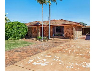 49 Grebe Street, Stirling WA 6021