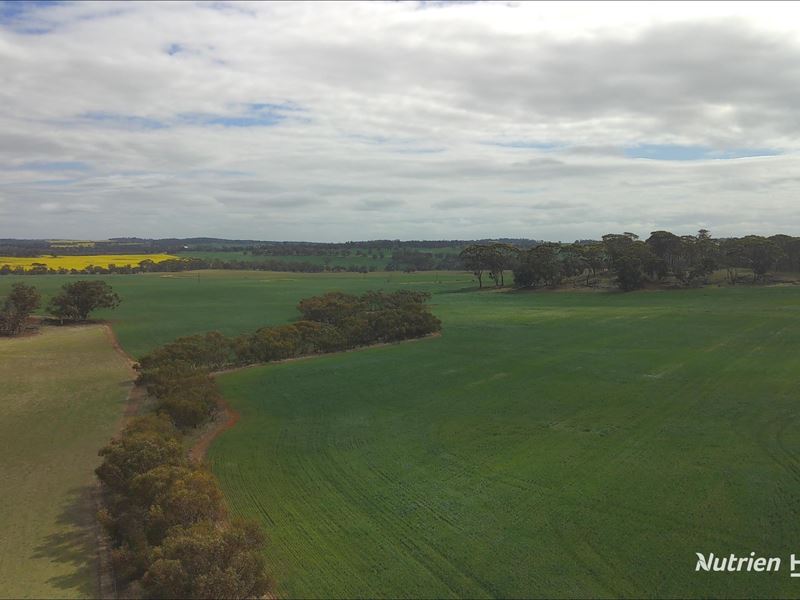 Lot 4031 Jackadine Farm, Pingelly