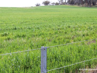 Lot 4031 Jackadine Farm, Pingelly WA 6308