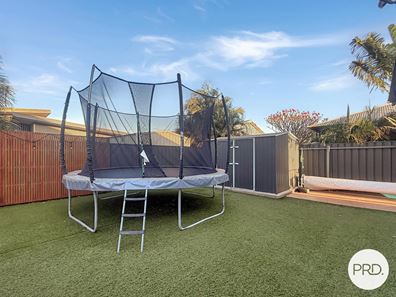 16 Bettong Bend, Baynton WA 6714