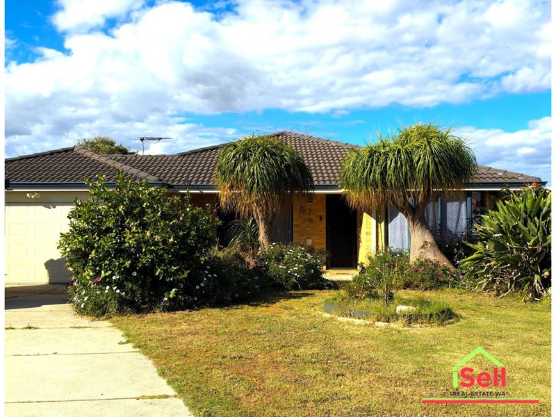 67 Frond Circuit, Banksia Grove WA 6031