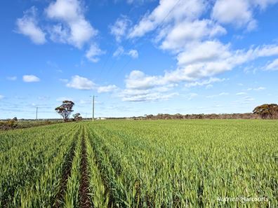 Lot 601 Goldfields Road, Merredin WA 6415