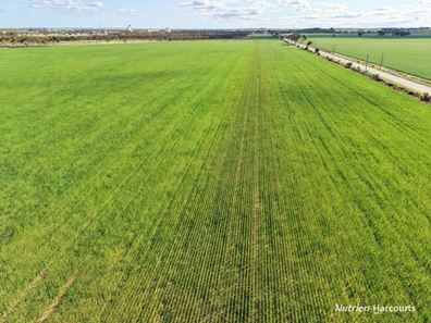 Lot 601 Goldfields Road, Merredin WA 6415