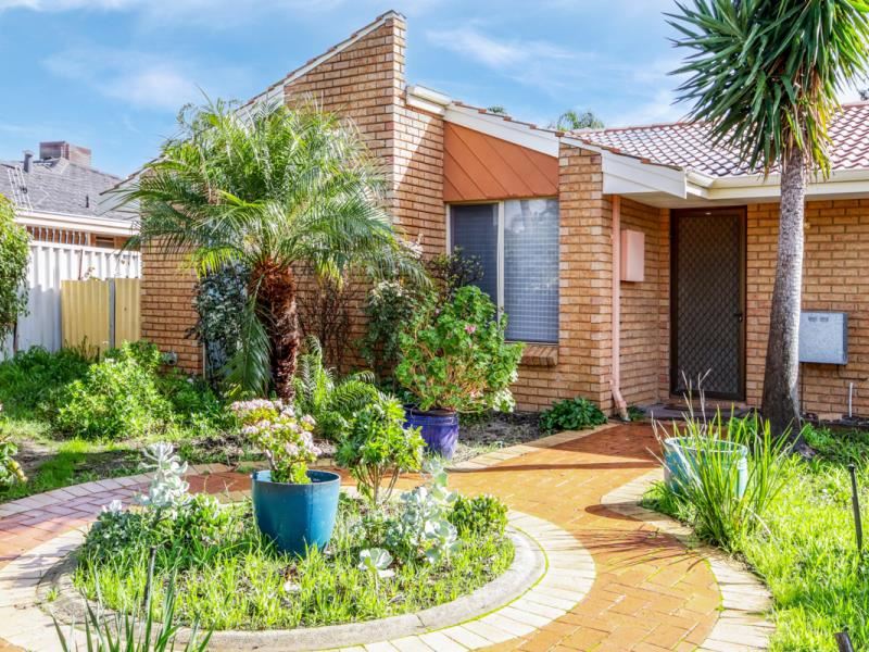 6 Briggs Place, Armadale WA 6112