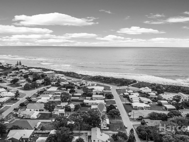 13 Flight Street, Falcon