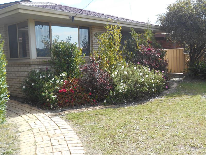 1 Swan Avenue, Collie