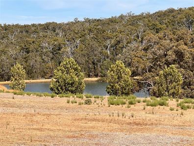 20 Aberdeen Avenue, Bridgetown WA 6255