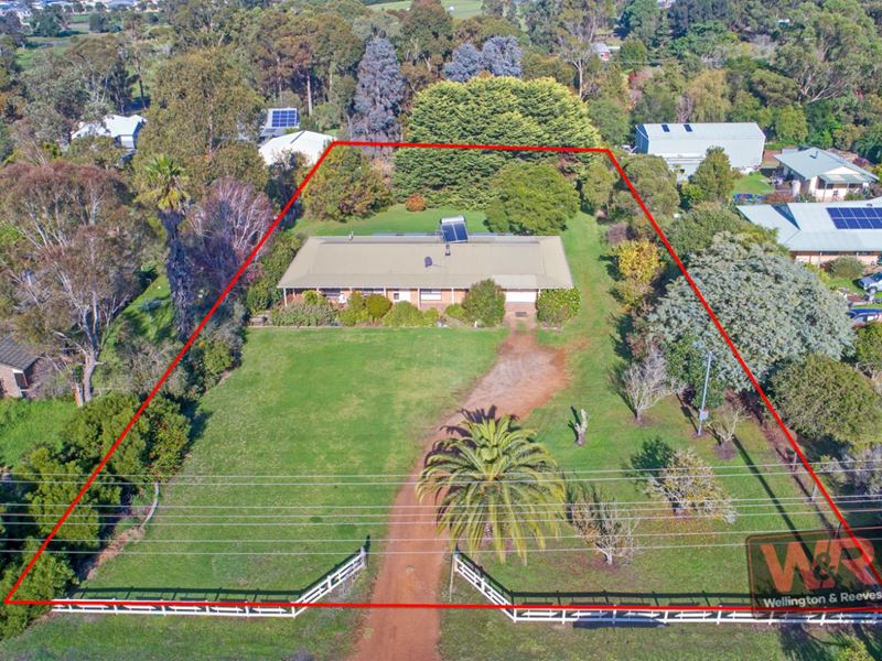 649 Albany Highway, Mckail