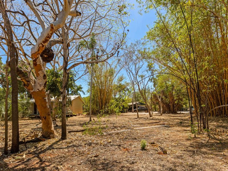 95 Yamashita Street, Roebuck