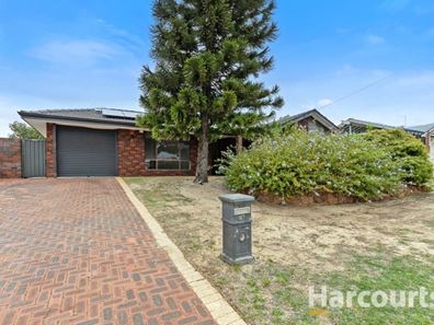 17 Deyoung Road, Craigie WA 6025