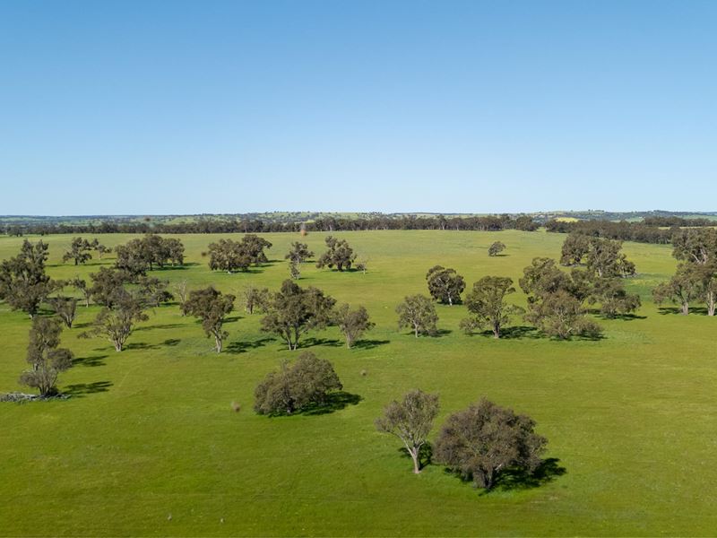 Jackson  Road, Mindarra