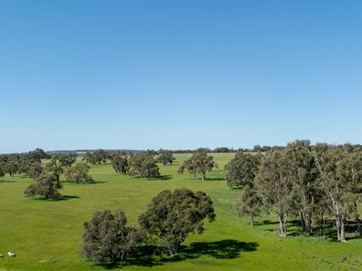 Jackson  Road, Mindarra WA 6503