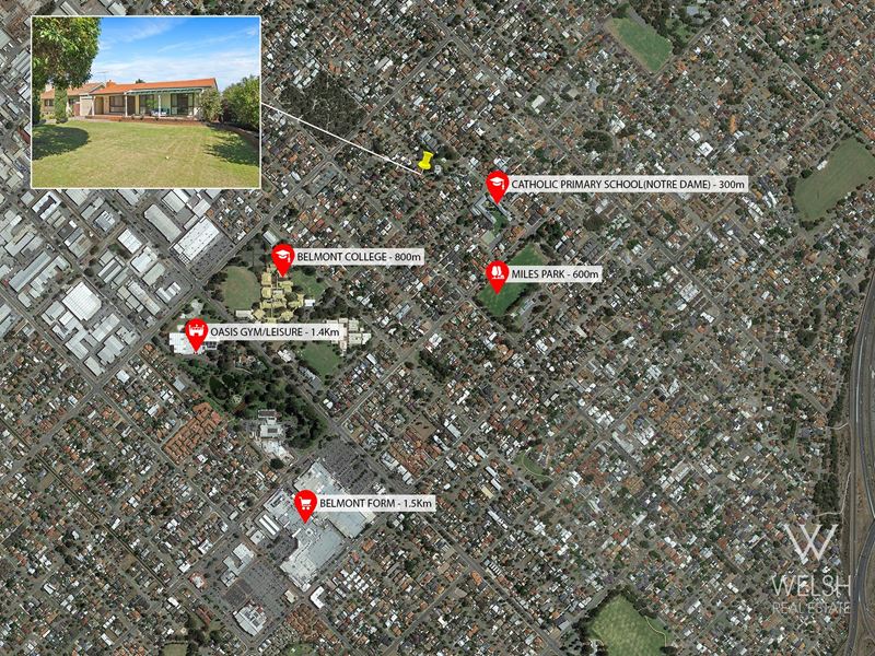 20 Harman Street, Belmont