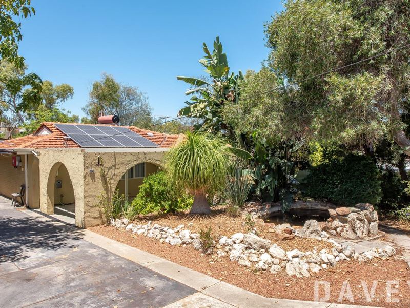 15 Spinaway Street, Craigie