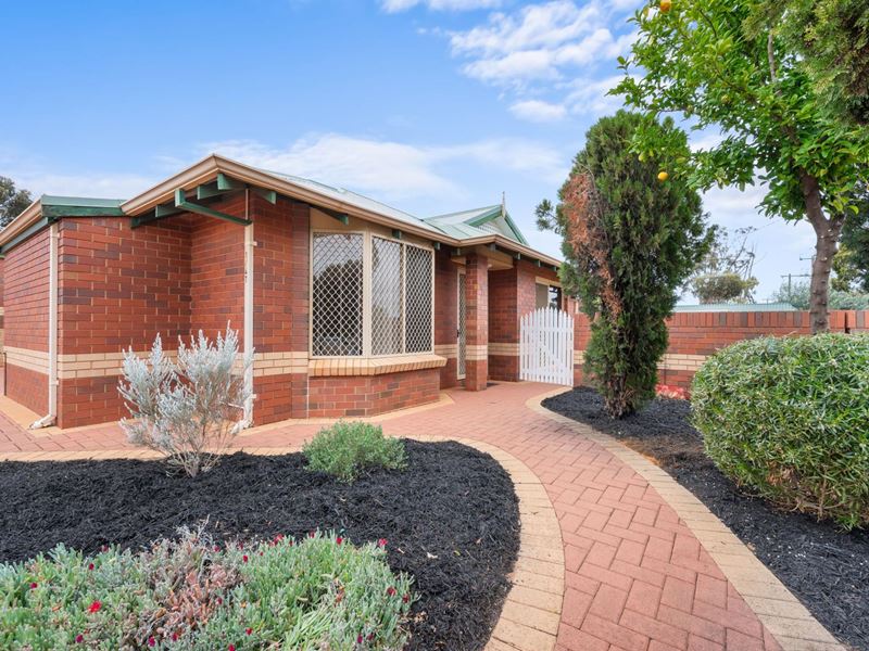 1/47 Killarney Street, Lamington