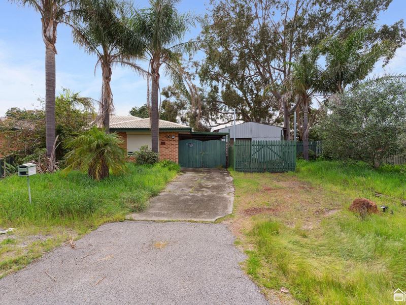 33 Tewson Road, Camillo