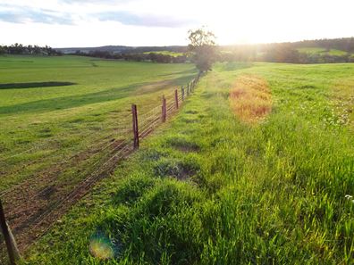 Lot 10661 North Wandering Road, Hastings WA 6308