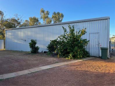 58 Fowler Street, Perenjori WA 6620