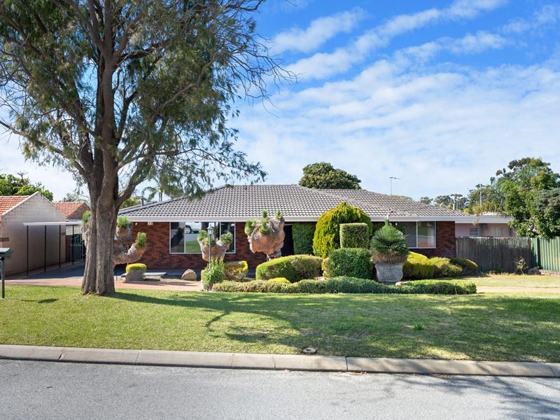 10 Albyn Place, Hamersley WA 6022