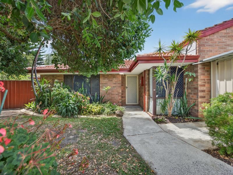 Willetton