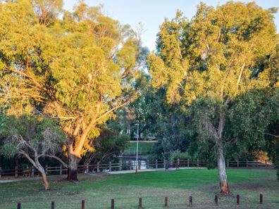 15 Water Crest Gardens, Gwelup WA 6018