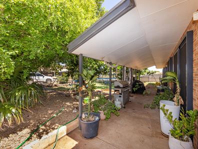 16 Truslove Way, Pegs Creek WA 6714