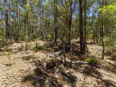 9853 Vasse Highway, Peerabeelup WA 6260