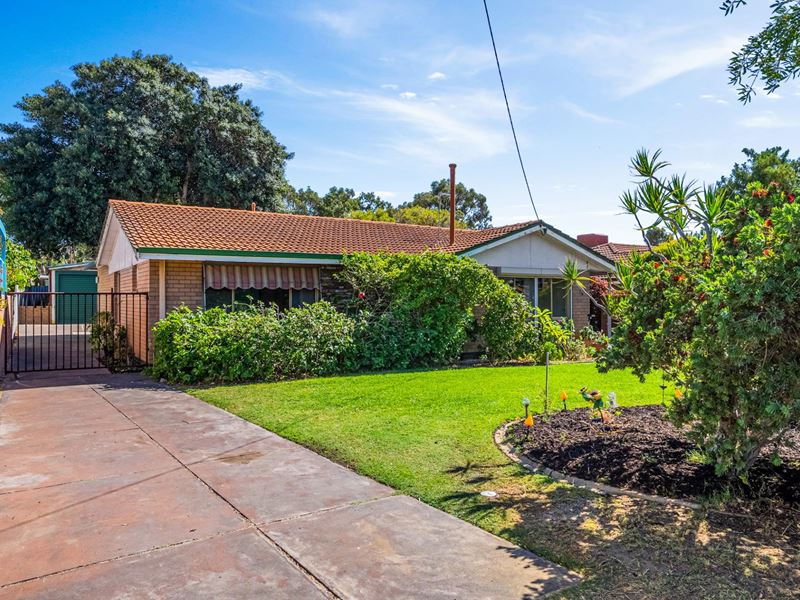 16 Fox Street, Spearwood WA 6163