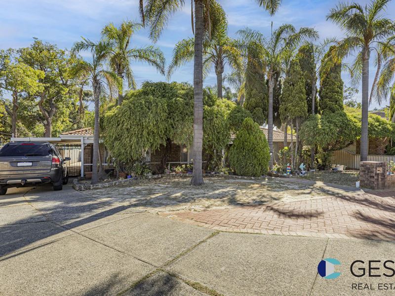 6 COBALT PLACE, Koondoola WA 6064