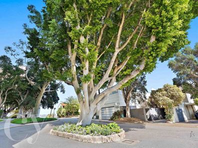 4D/25 Victoria Avenue, Claremont WA 6010