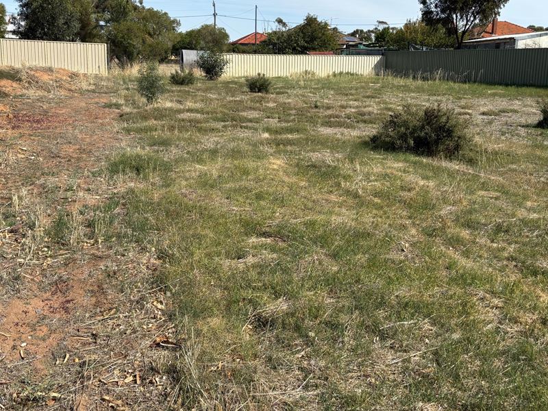 39A Bartram Street, Beverley WA 6304