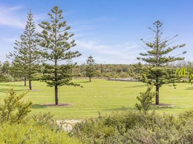 47 Picasso Promenade, Alkimos WA 6038