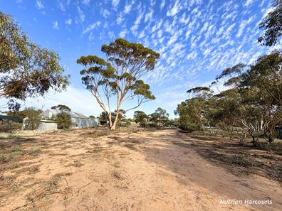 60 Hughes Road, Merredin WA 6415