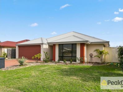 12 Catseye Crescent, Wellard WA 6170