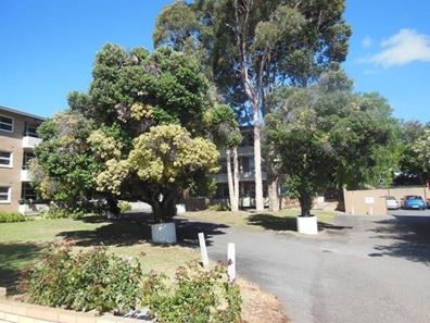7/290 Stirling Street, Perth WA 6000