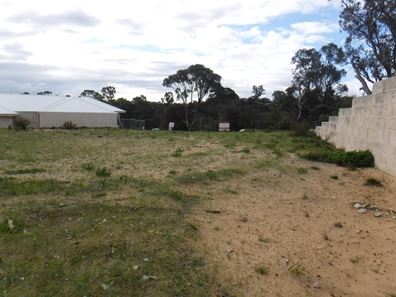 8 Triplett Place, Australind WA 6233