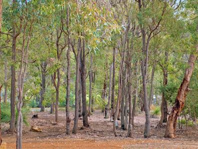 Gidgegannup WA 6083
