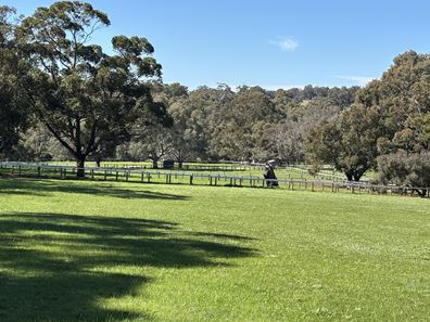 605 Orchard Road, Wooroloo WA 6558