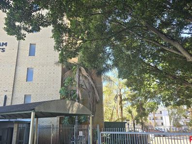 13/50 Kirkham Hill Terrace, Maylands WA 6051