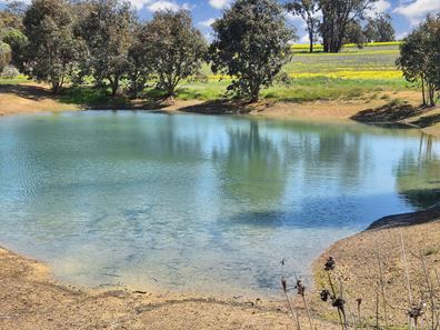 30 English Rd, Dardadine WA 6392