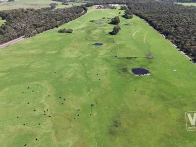 Prop Lot 99 Lower Denmark Road, Torbay WA 6330