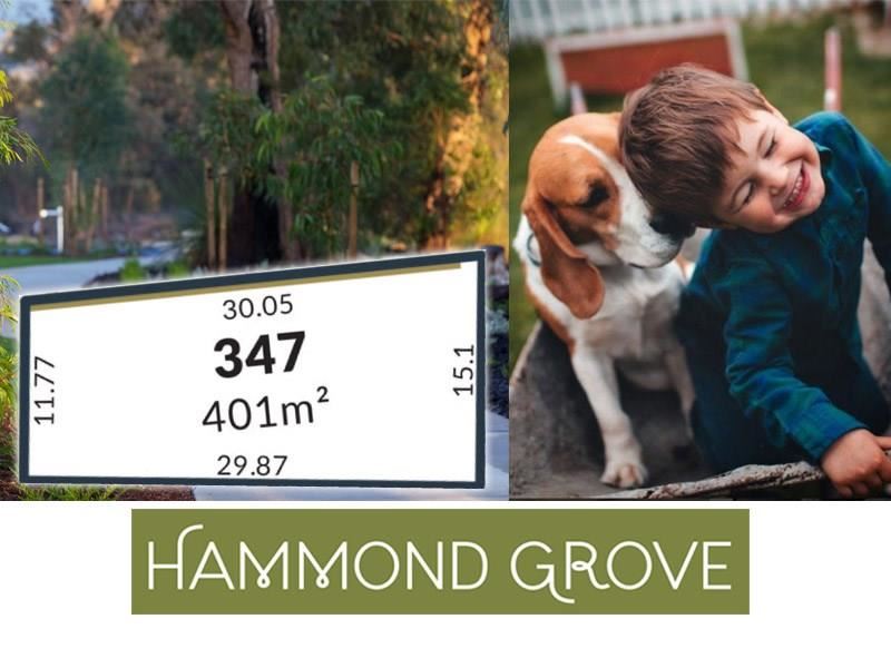 Lot 347,  Jennings Street, Hammond Park WA 6164