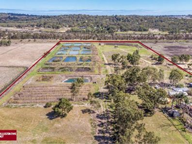 47 Young Road, Baldivis WA 6171