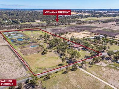47 Young Road, Baldivis WA 6171