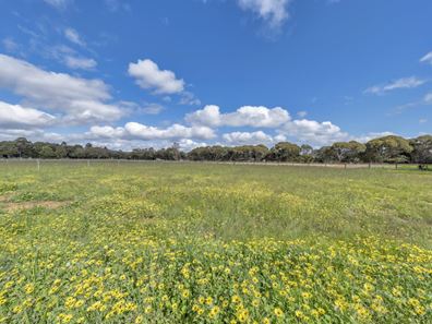 Lot 307 Beau Sovereign Court, North Dandalup WA 6207